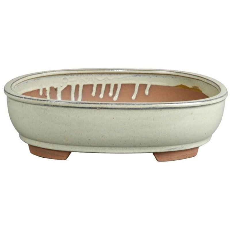 

Tiesto bonsái Asuka ovalado blanco + Plato 27x21x7cm