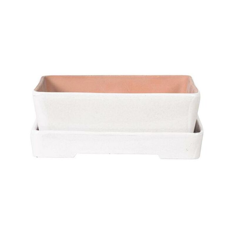 

Tiesto bonsai Naka blanco + Plato 30x22x7cm