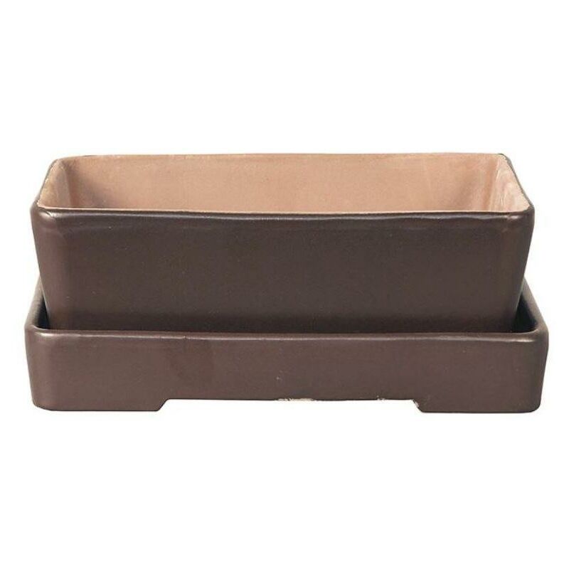 

Tiesto bonsai Naka Tostado + Plato 30x22x7cm