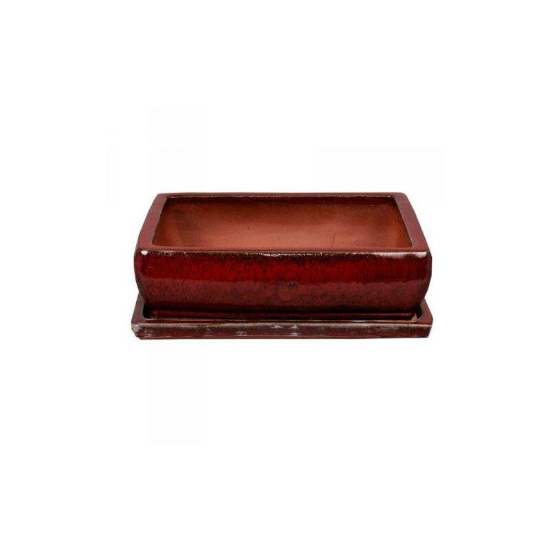 

Herstera - Tiesto bonsais Kofun rectangular rojo + Plato 32x25x10cm
