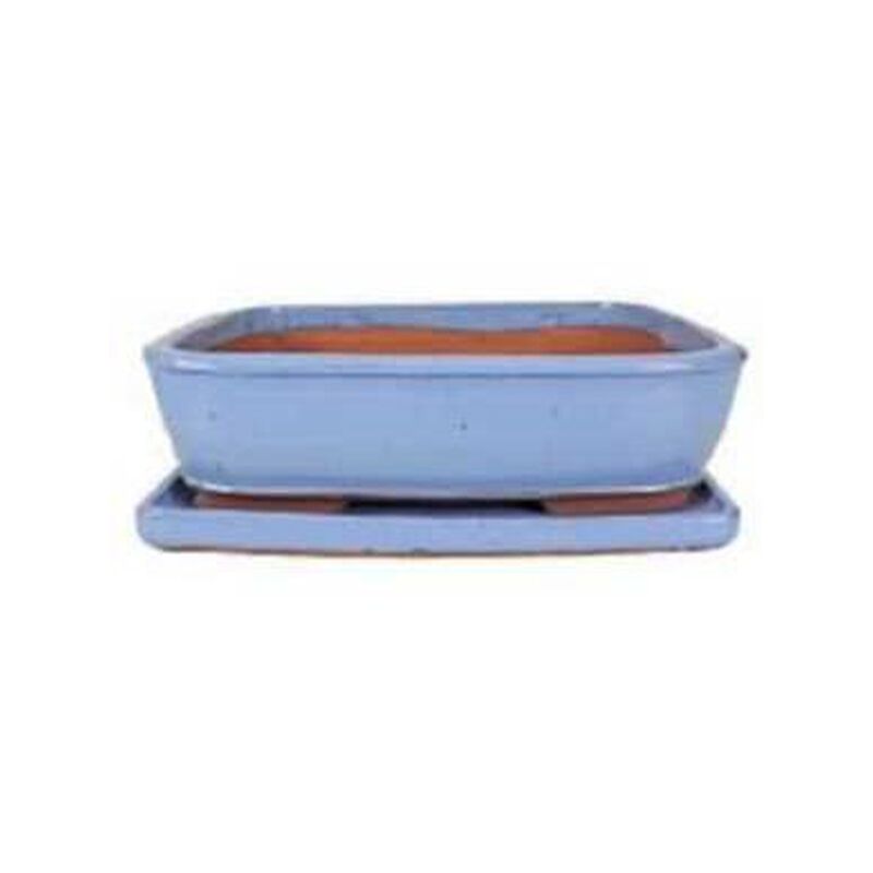 

Planeta Huerto Bonsái - Tiesto rectangular canto redondo 35 cm Azul con plato