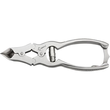 Pince Acier Inoxydable 16cm