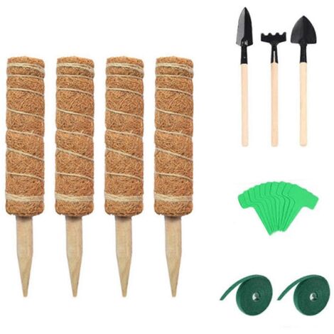 Tige de soutien pour plantes en pot 30 cm, support de tuteur pour plantes grimpantes, outil de jardin intérieur extérieur, tige de croissance pour fleurs, kit de culture pour jardin et balcon.