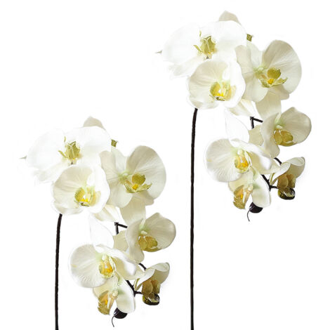 Tiges D'orchidées Artificielles, Fausses Fleurs D'orchidées au Toucher Réel, Plantes à Tige pour Décoration de Mariage et de Maison (C)
