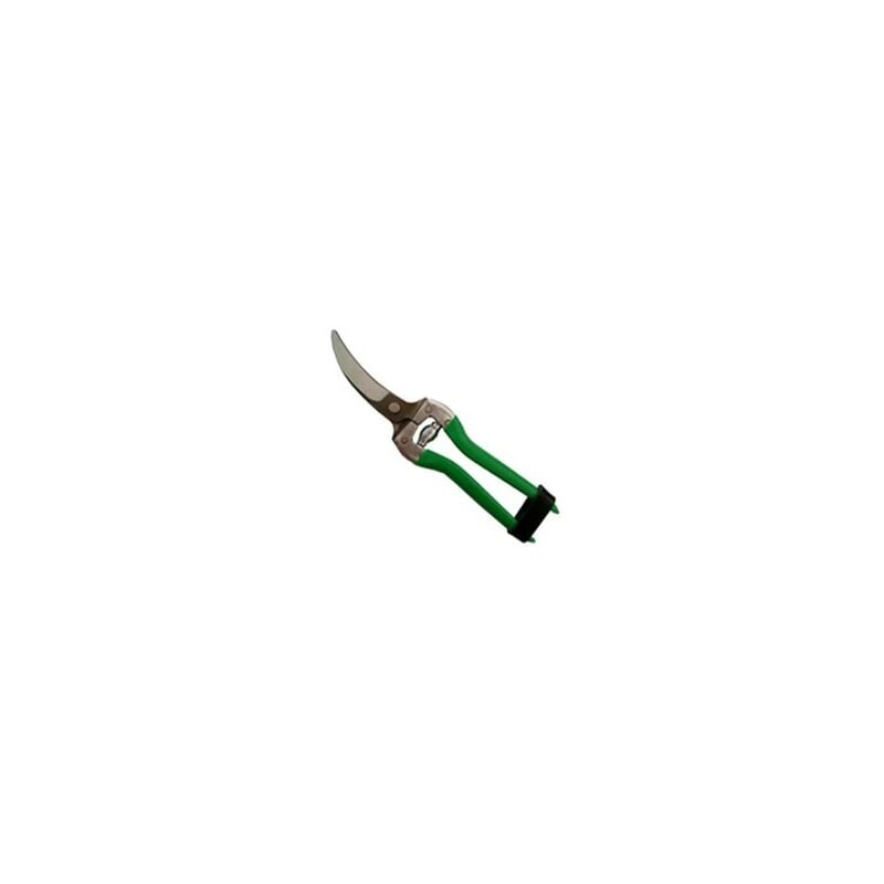 

La Solana - Tijera ajos curva 22cm. f-151