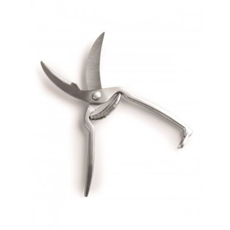 TIJERA PARA AVES  25CM INOX -  RAMON DE CASTRO