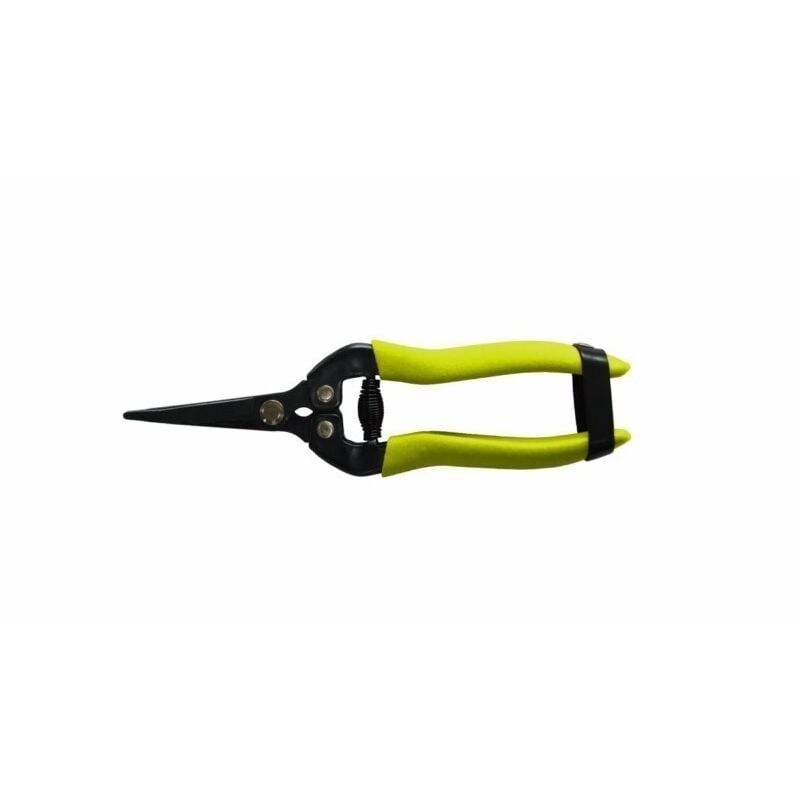 

Tijera Podar 19Cm 1 Mano Acero Mango Acero R/C Nt1073 - Natuur