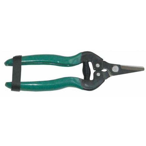 TIJERA RECOLECCION HOJA RECTA - 17 CM