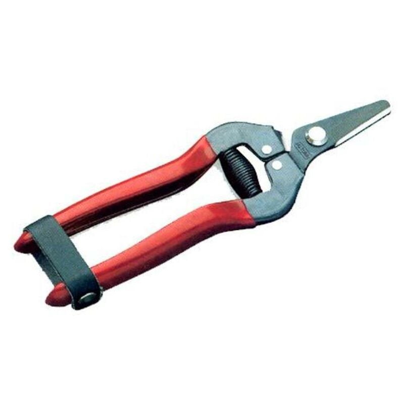 

altuna tijera prof.1290 de 17 cm recolectora recta corta - Mibricotienda