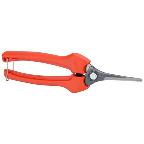 TIJERA VENDIMIA P-128-19 RECTA