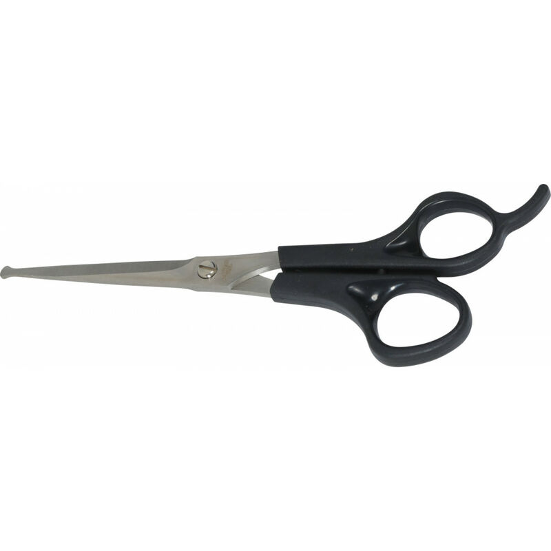 

Tijeras rectas, 16,8 cm. de la gama ANAH, para perros.
