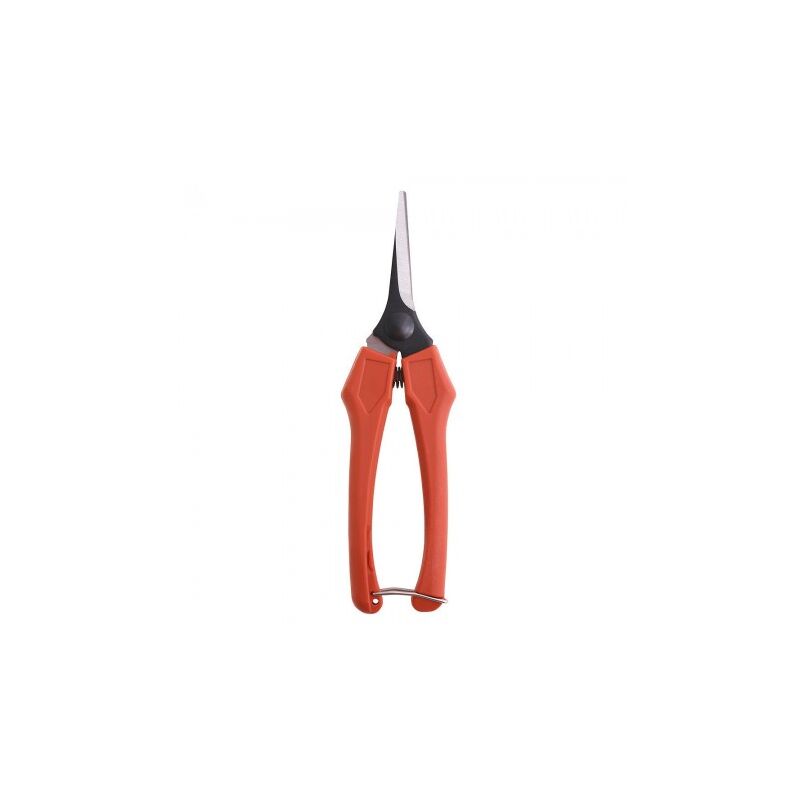 

Tijeras vendimiar recta 1 mano p10/18 cm.