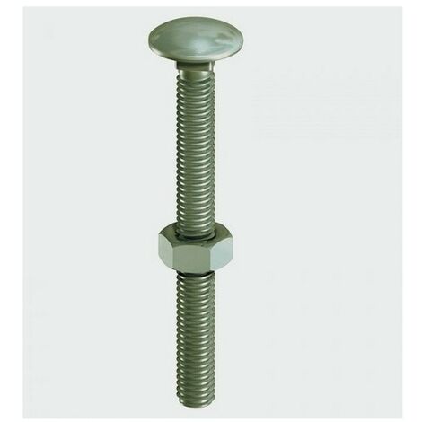 COACH CARRIAGE BOLT M10 X 240MM BZP WITH NUT PACK OF 6