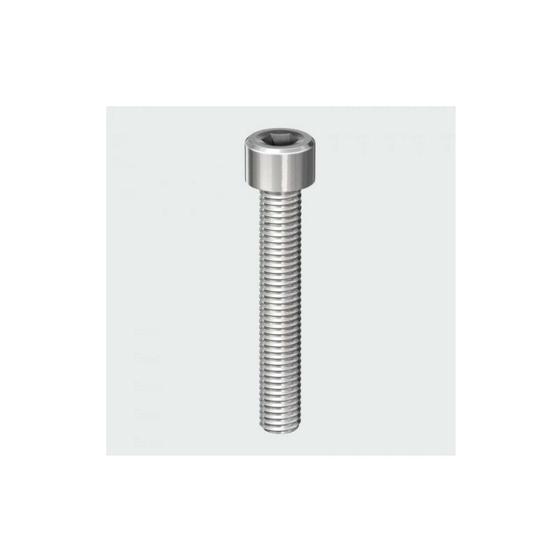 Timco - 520CAPSSP Cap Socket and Nut A2 Stainless Steel 5 x 20 Bag of 8