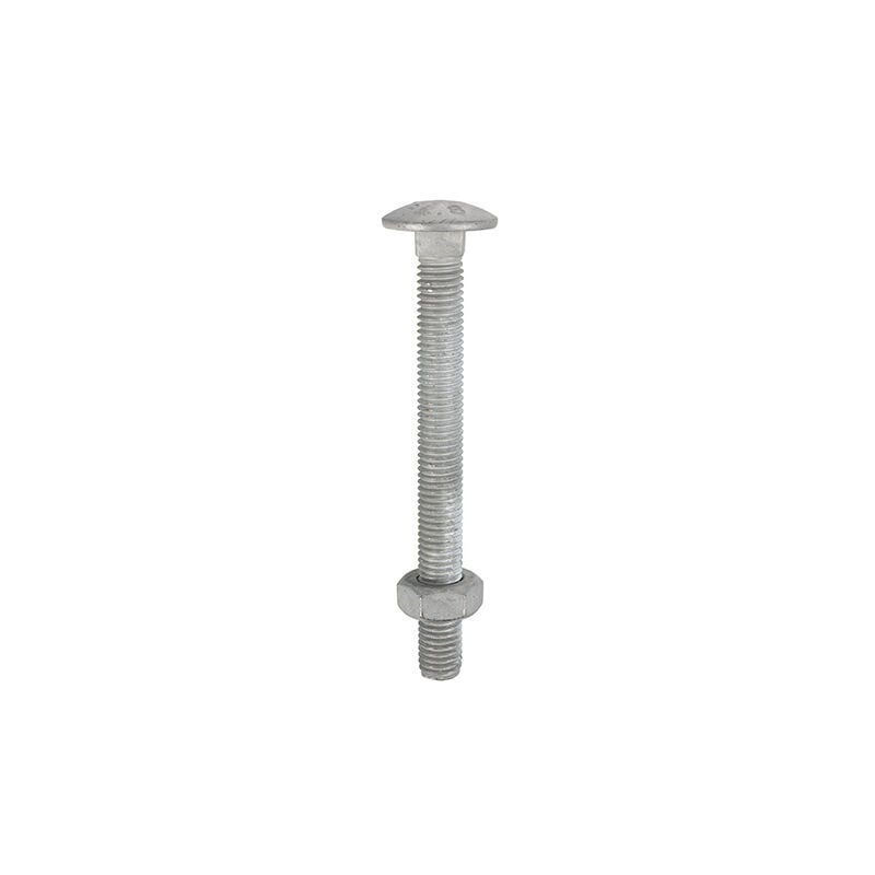 Timco - Carriage Bolts DIN603 & Hex Full Nuts DIN934 Hot Dipped Galvanised - M10 x 200