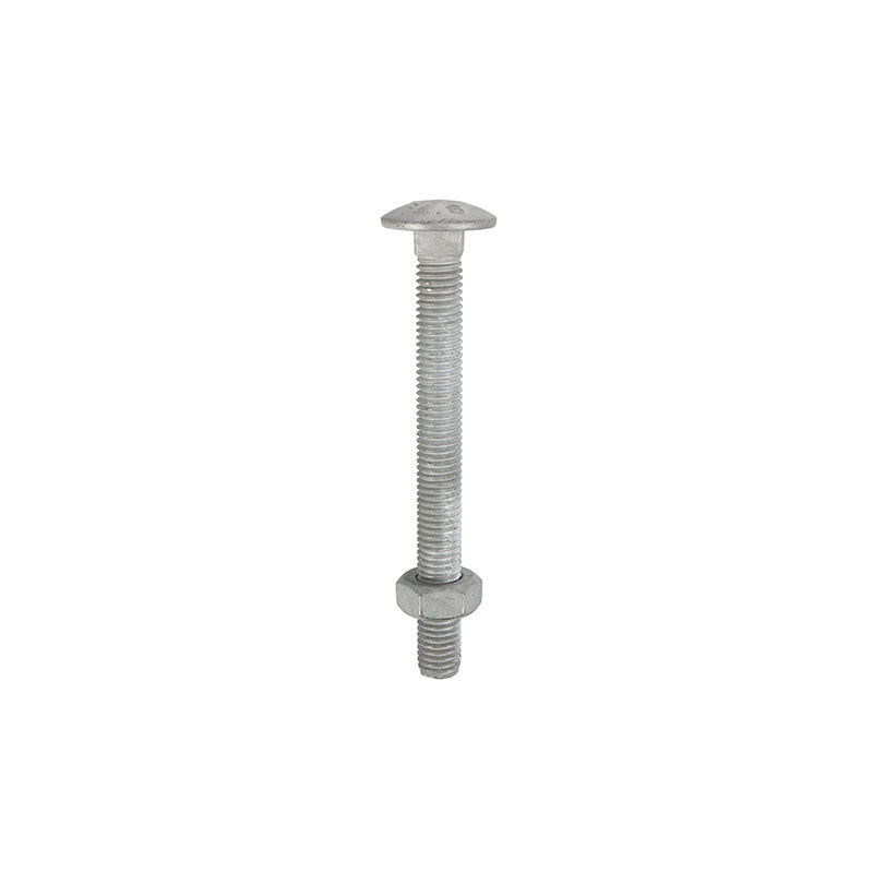 Timco - Carriage Bolts DIN603 & Hex Full Nuts DIN934 Hot Dipped Galvanised - M10 x 75