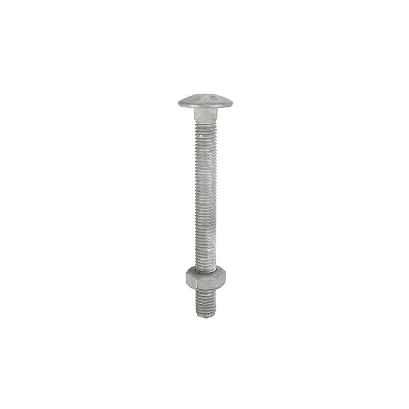 Galvanised Steel Dome Head Carriage Bolts & Hex Nuts (Silver) - M8 x 40mm (100 Box) - Timco