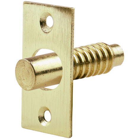 TIMCO Hinge Bolt Electro Brass - 48mm