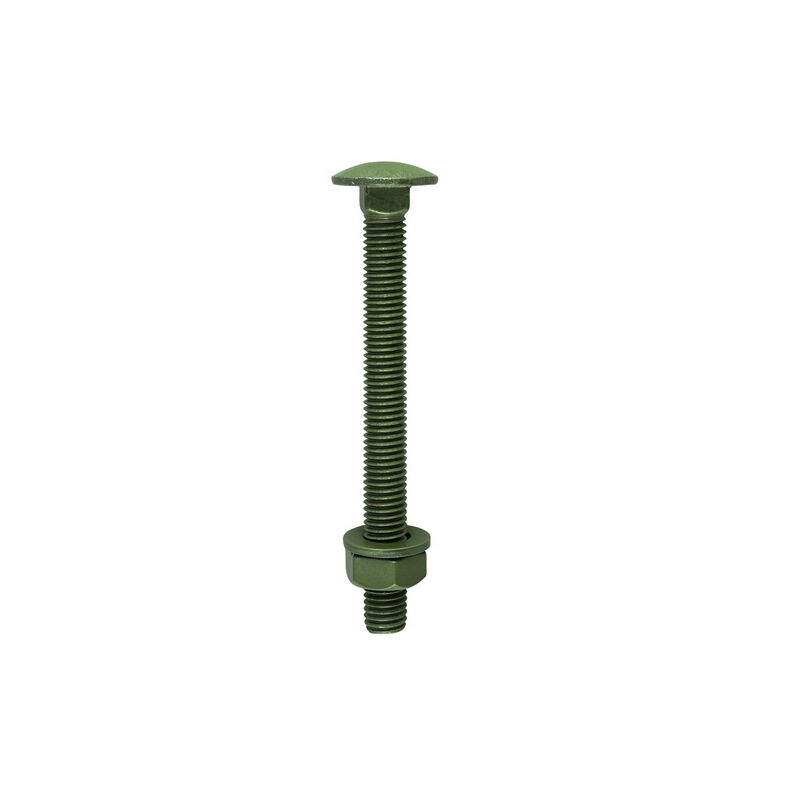 Timco - Carriage Bolts Hex Nuts & Form A Washers - Dome - Exterior - Green (Size M10 x 160 - 10 Pieces)