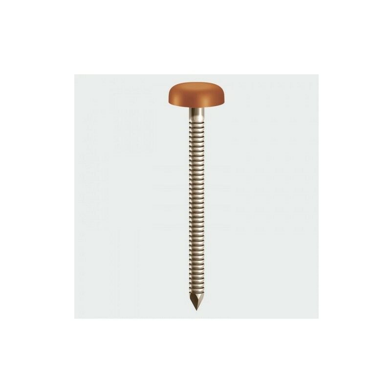 PN50CB Polymer Headed Nails Clay Brown 50mm Box of 100 - Timco