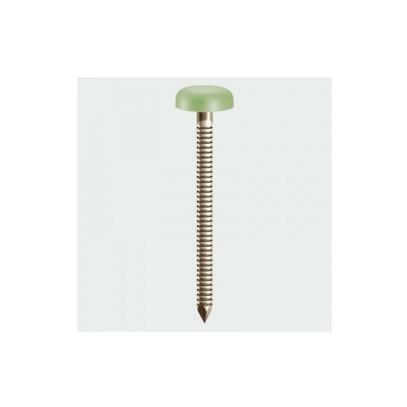 PN50CG Polymer Headed Nails Chartwell Green 50mm Box of 100 - Timco