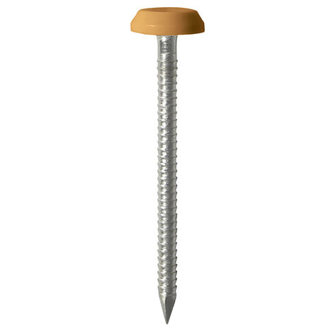 TIMCO Polymer Headed Nails A4 Stainless Steel Oak - 50mm