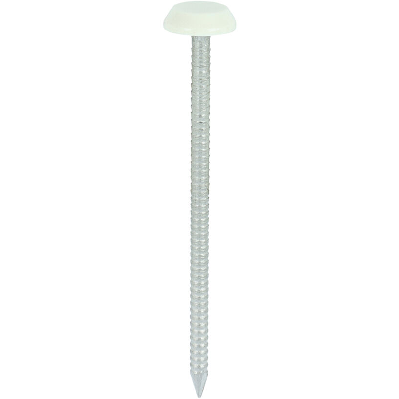 Timco - Polymer Headed Nails - A4 Stainless Steel - Cream (Size 65mm - 100 Pieces)