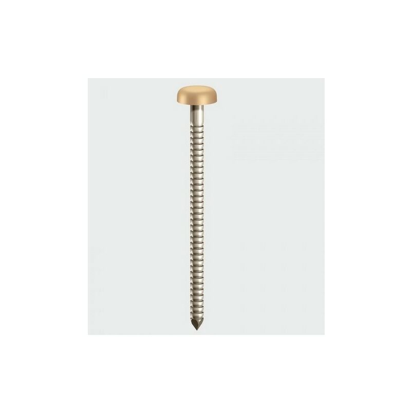 PP25BEIGE Polymer Headed Pin Beige 25mm Box of 250 - Timco