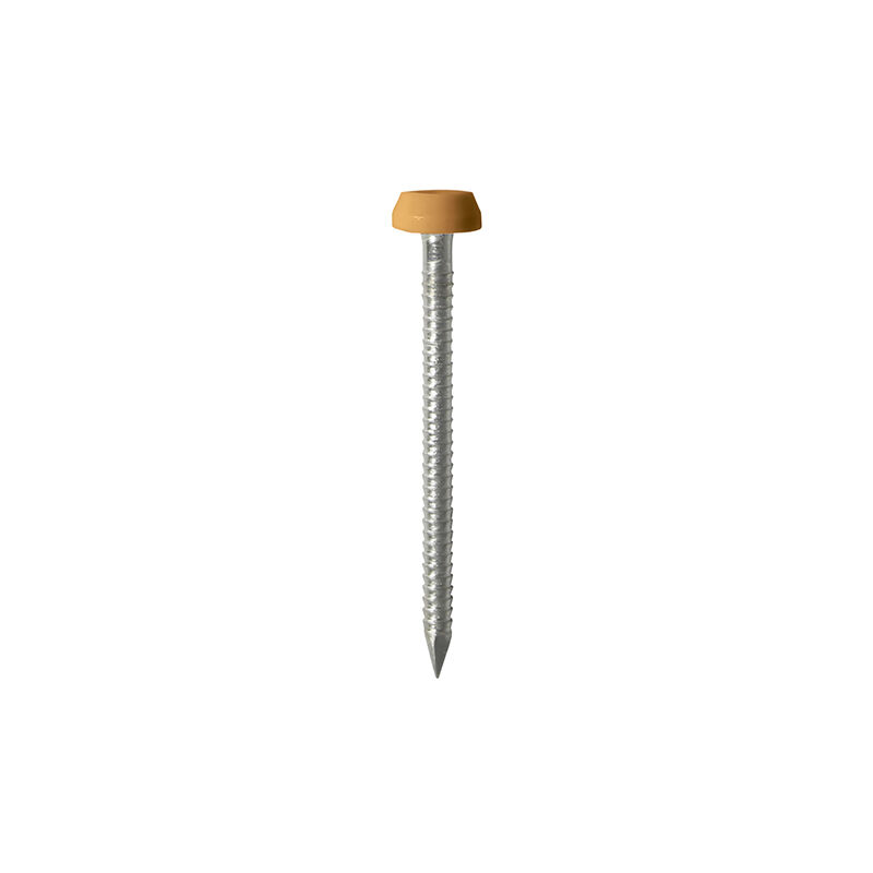 Timco - Polymer Headed Pins - A4 Stainless Steel - Oak (Size 40mm - 250 Pieces)