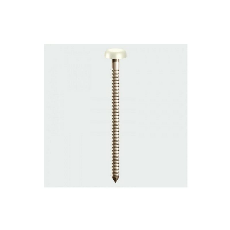 PP25W Polymer Headed Pin White 25mm Box of 250 - Timco
