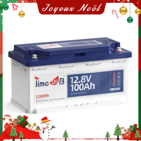 Timeusb Batterie au Lithium LiFePO4 pour Camping-car 12V 100Ah, Hauteur 189mm, 15000 Cycles Profonds, BMS 100A, 1280Wh d’énergie, Batterie Solaire Rechargeable, Parfait pour Sièges de Caravane, RV Réc