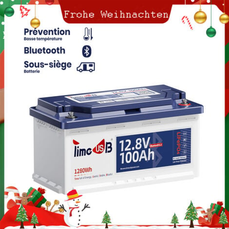 Timeusb Lithium Batterie 12V 100Ah H190 LiFePO4 Akku, mit Bluetooth und Tieftemperaturschutz, 100A BMS, 4000+ Tiefe Zyklen, ideal für Campervan, Wohnmobil, Wohnwagen, RV, Solaranlage, Boot