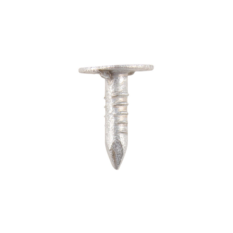 Timco - Extra Large Head Clout Nails - Galvanised (Size 13 x 3.00 - 1 Kilograms)