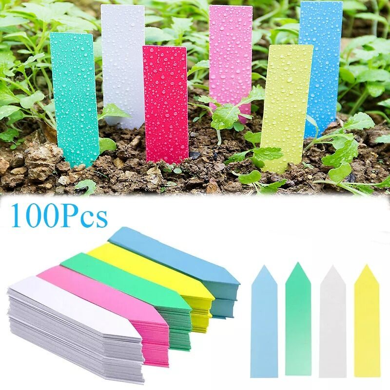 Tiquettes en plastique imperméables pour plantes de jardin, 100 pièces, marqueurs de plateau pour pépinière, bricolage, outils de décoration de
