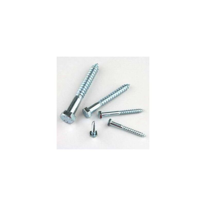 

Hispanox, - Tornillo barraquero inoxidable Hispanox DIN 571 8X70 C100