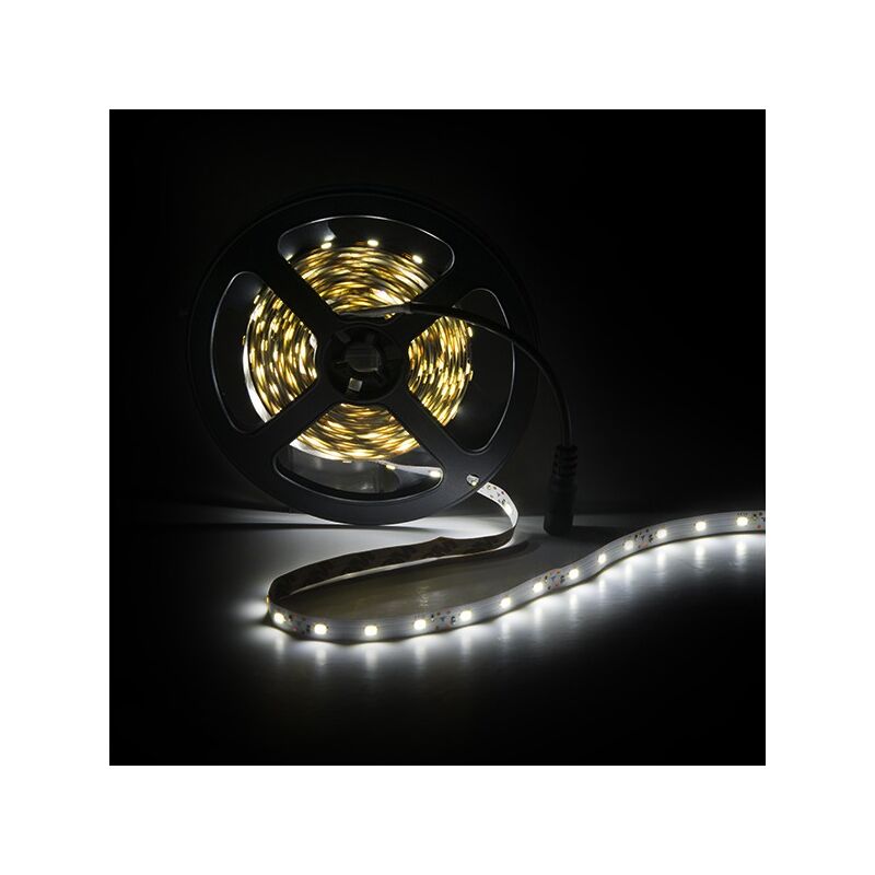 

Tira LED 300 X SMD3528 12VDC x 5M | Blanco Frío (PL219001)