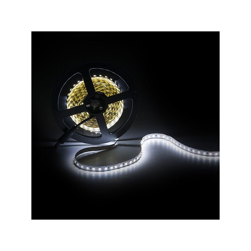 

Tira LED 600 X SMD3528 12VDC x 5M | Azul (PL219005)