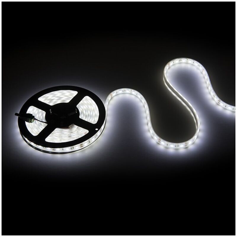 

Tira LED 12VDC SMD5050 60LEDs 72W IP68 Sumergible x 5M | Rojo (CA-5050-12V-IP68-CW)