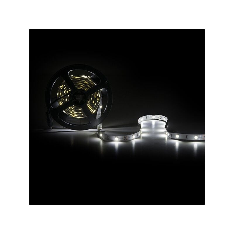 

Tira LED 150 X SMD5050 12VDC x 5M | Azul (PL219007)