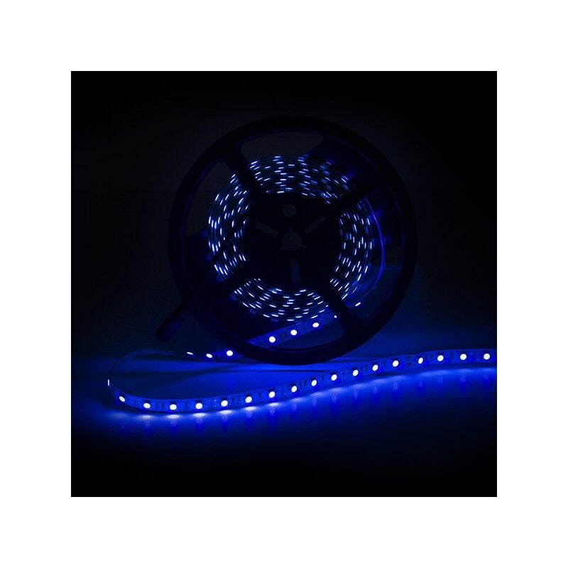 

Tira LED 300 X SMD5050 12VDC 60W IP65 Ultravioleta x 5M | Ultravioleta (CA-5050-300-IP65-UV)