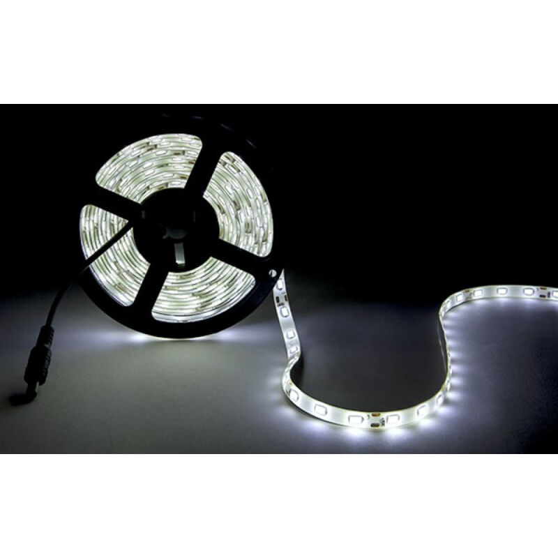 

Tira LED 300 X SMD5630 12VDC CA-PL219010-CW x 5M | Blanco Frío (CA-PL219010-CW)