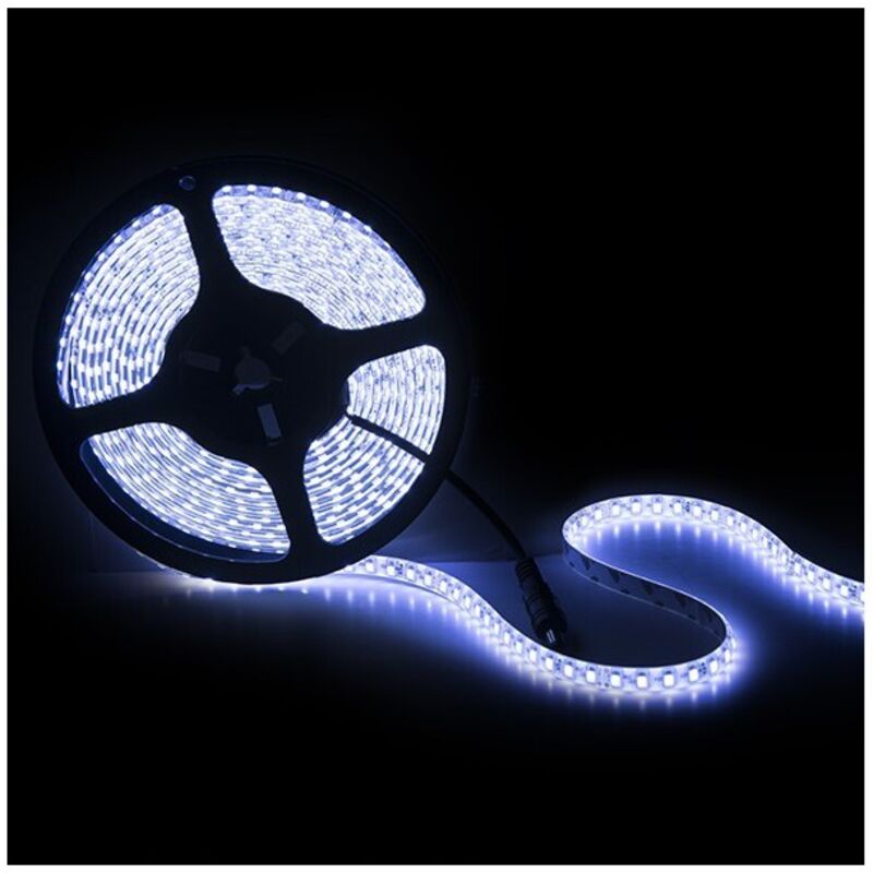 

Tira LED 600 X SMD2835 24VDC IP65 x 5M | Amarillo (GR-RDT2835-120-24-IP65-CW)