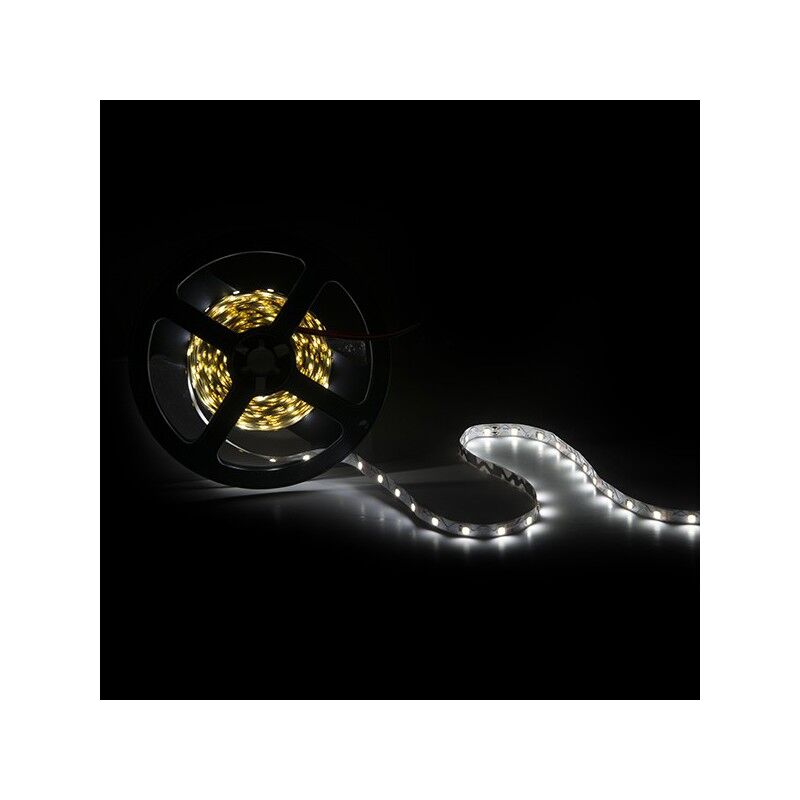 

Tira LED Tipo S 300 x SMD2835 40W 12VDC IP20 x 5M | Verde (OB-FS173S-W)