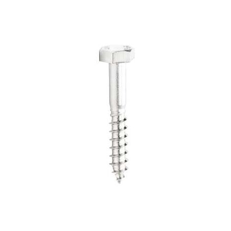 Tirafondi Testa Esagonale Inox Mm.6X60