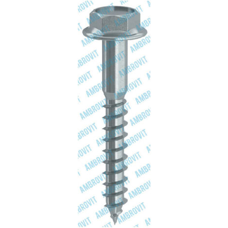 TIRAFONDI X LEGNO S/RONDELLA MM.  6X 50 AMBROVIT- 200,0 pz