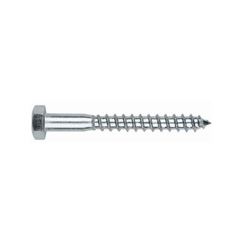 

Tirafondo Barraq Din 571 Zn 6x45(24)