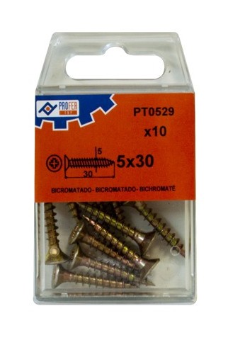 

Tirafondo C/plan Pozi Bic C/10 48558-PT0529 - 5X30 MM.. - Neoferr