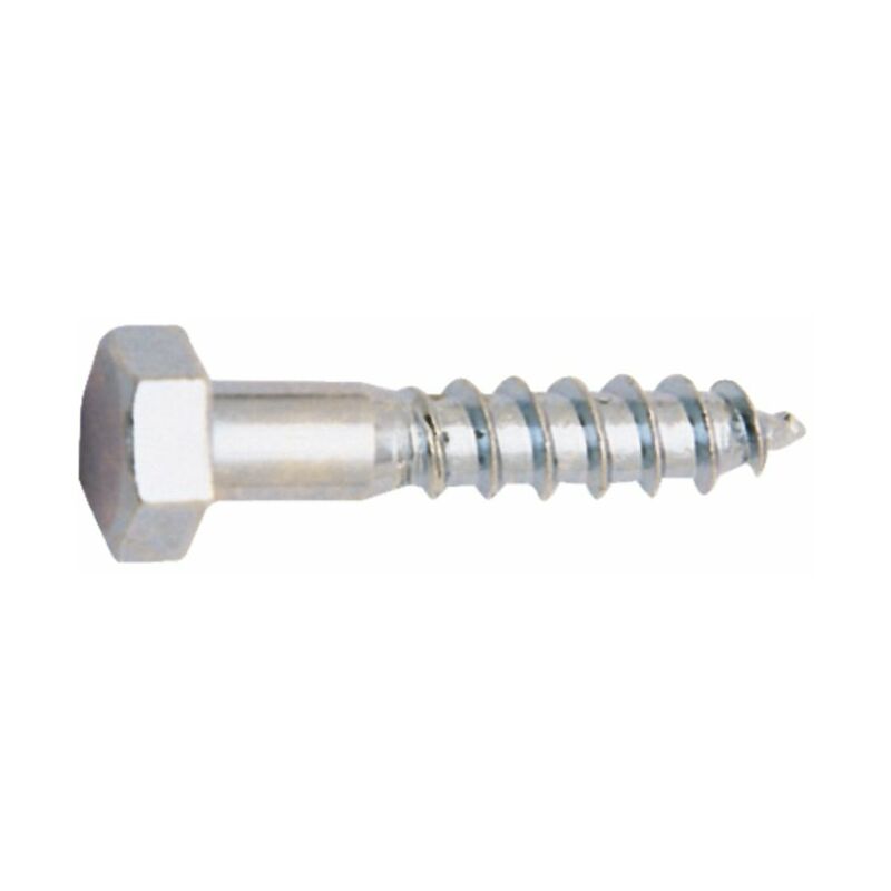 

Tornillo Cinc. Din 571 5X60
