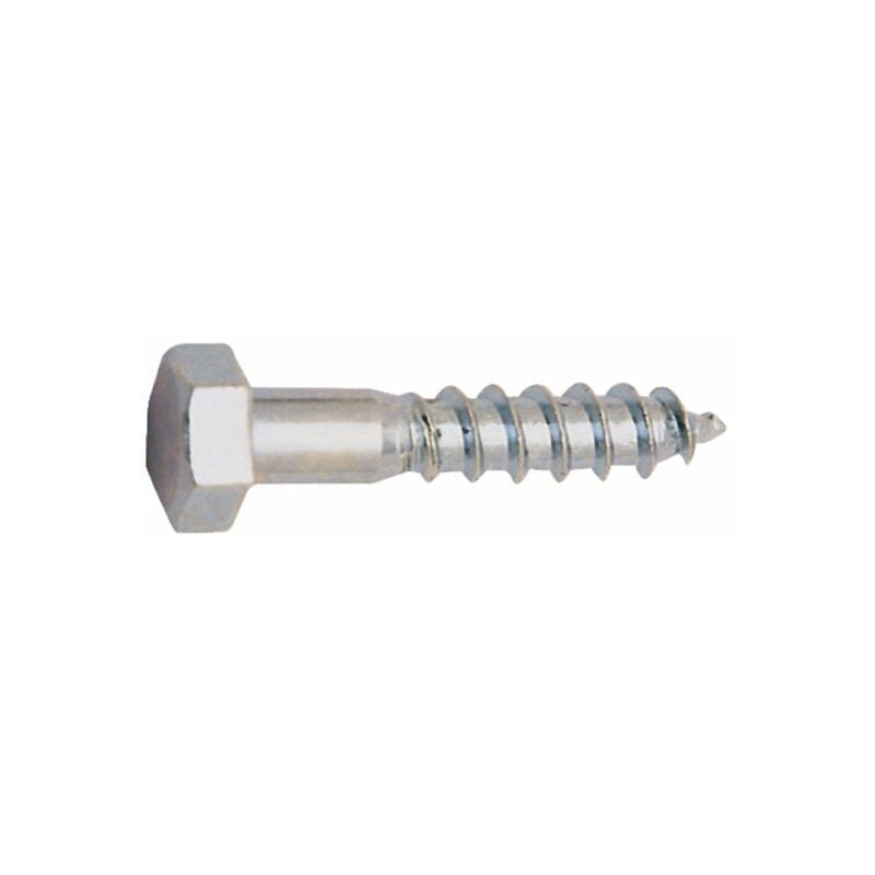 

TIRAFONDOS ZN R/M C/HEX.6X60mm 3U. - EHS