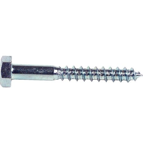 Tire-fonds DIN 571, inox A2, D de filetage 8 mm